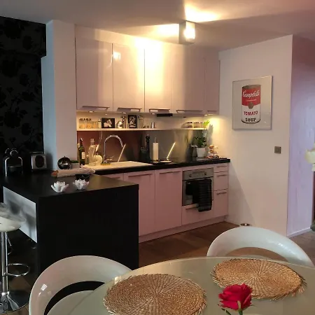 Cosy And Trendy 75m2 With Balcony - Centrally Located - Lippenslaan